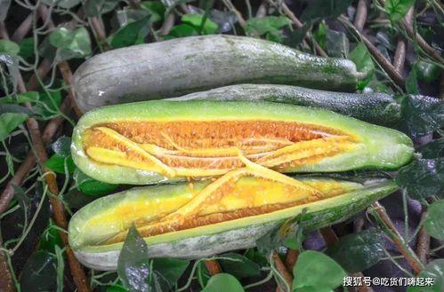 有名的吃瓜视频网红,揭秘吃瓜视频网红的爆红之路