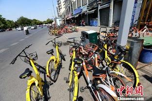 西安共享单车最新爆料,揭秘城市绿色出行新趋势